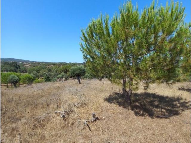 Terreno venda em Grândola e Santa Margarida da Serra, Grândola