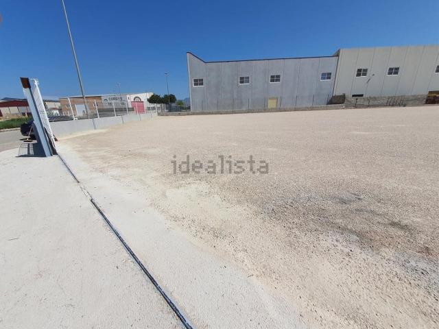 Terreno en alquiler en el Baix Segura / La Vega Baja, Valencia