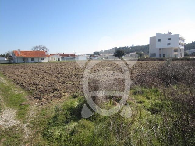 Terreno venda em Montemor-o-Velho e Gatões, Montemor-o-velho