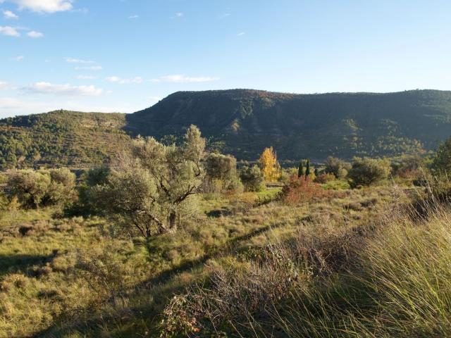 Terreno en venta en Veracruz, Aragón