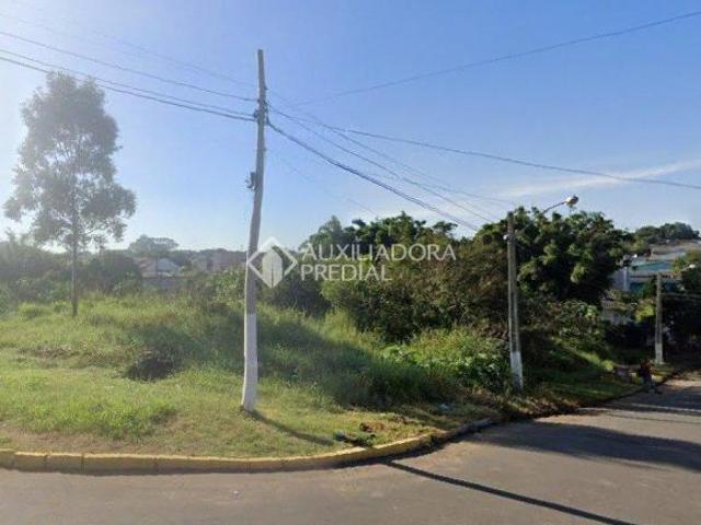 Terreno venda em Gravataí