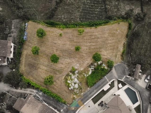 Terreno venda em São Martinho de Crasto, Grovelas São João Evangelista