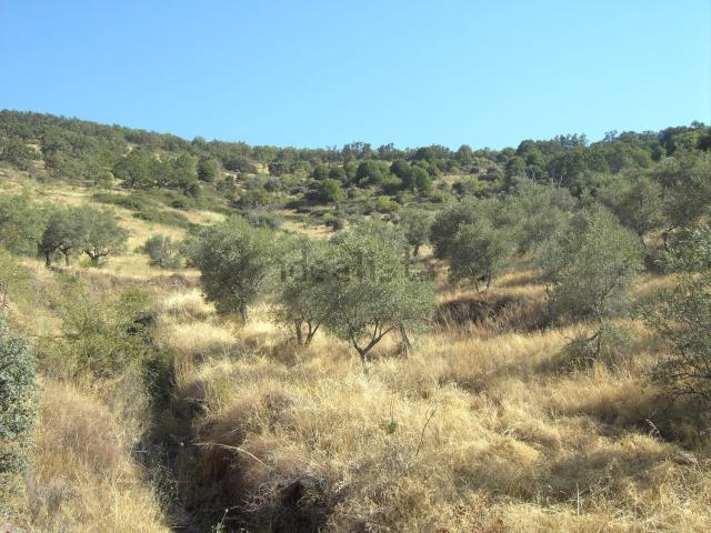 Terreno en venta en Guadalupe, Extremadura