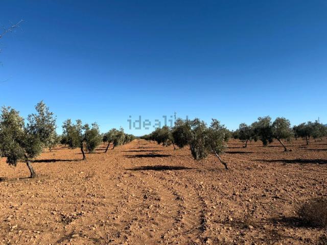 Terreno en venta en Belerda, Comarca de Guadix
