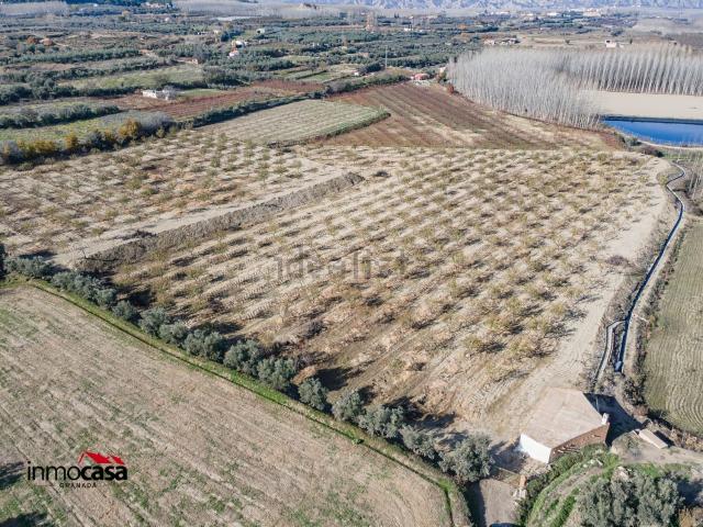 Terreno en venta en Comarca de Guadix, Andalucía