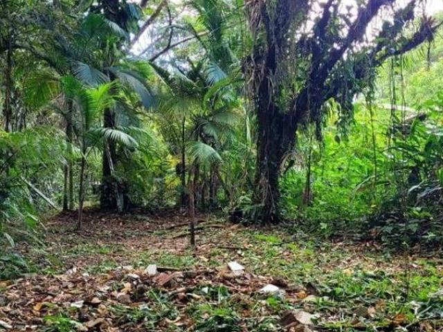 Terreno venda em Região Imediata de Santos, Região Metropolitana da Baixada Santista