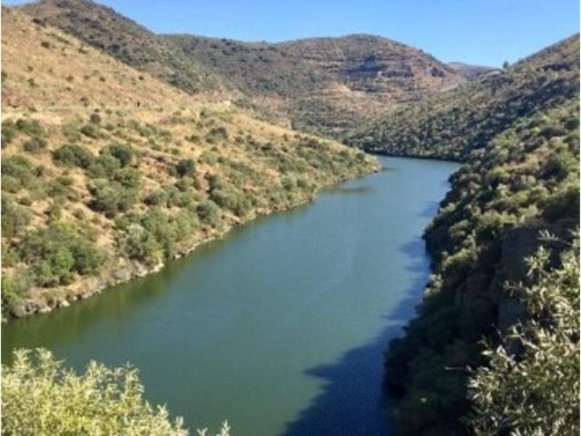 Terreno venda em Guarda, Figueira De Castelo Rodrigo