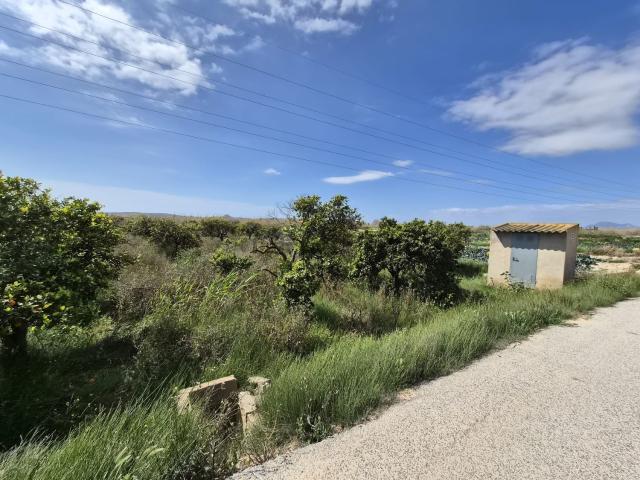 Terreno en venta en el Baix Segura / La Vega Baja, Valencia