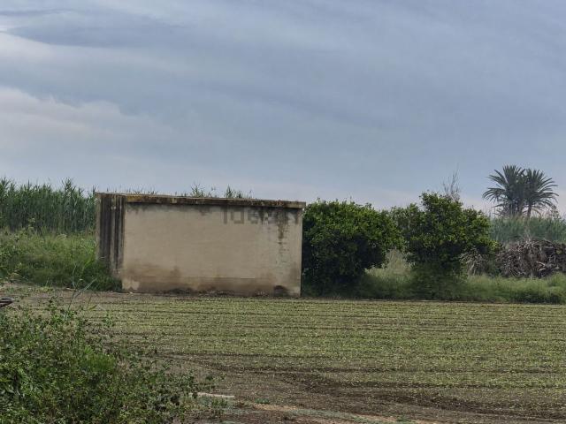 Terreno en venta en el Baix Segura / La Vega Baja, Valencia