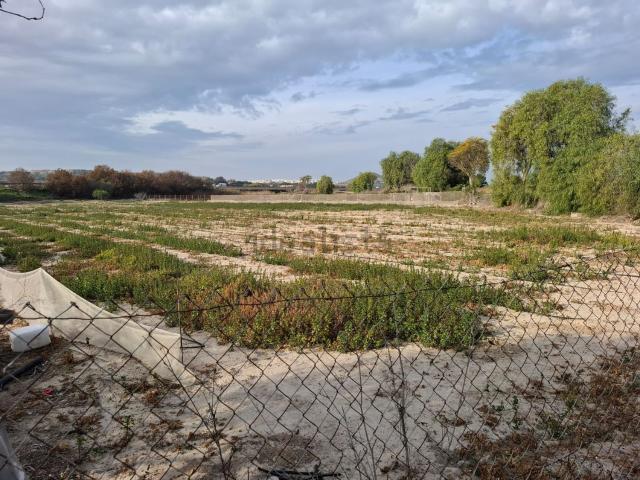 Terreno en venta en el Baix Segura / La Vega Baja, Valencia