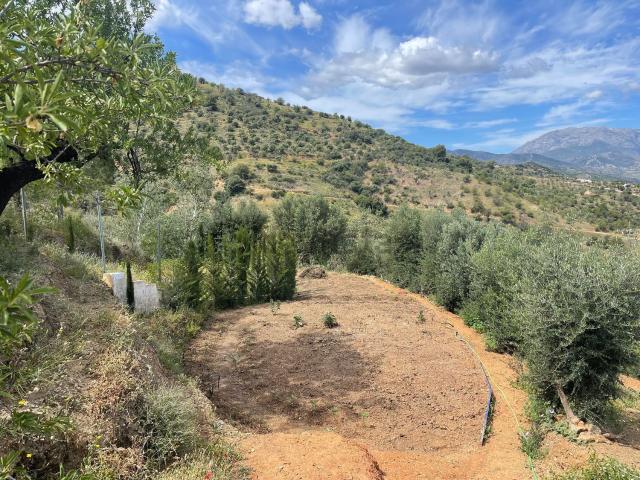 Terreno en venta en Sierra de las Nieves, Andalucía