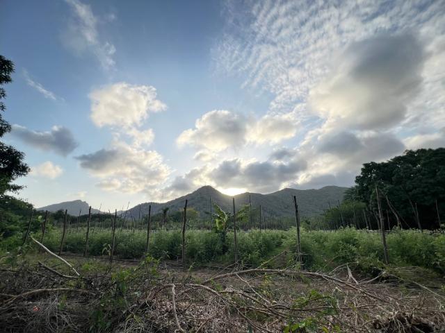 Terreno en venta en El Valle Del Espíritu Santo, Nueva Esparta