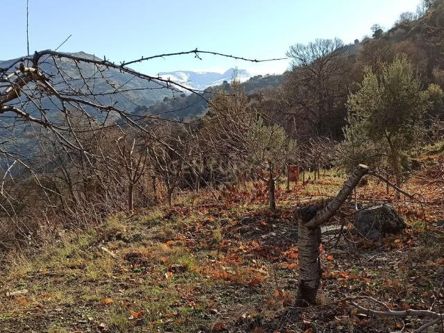 Terreno en venta en El Peñón, Güéjar Sierra