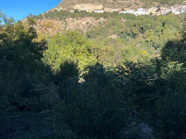 Terreno en venta en El Peñón, Comarca de la Vega de Granada