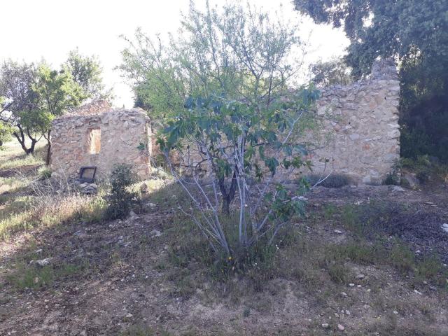 Terreno en venta en Comarca de la Vega de Granada, Andalucía