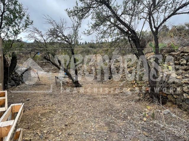 Terreno en venta en Guía de Isora, Canarias