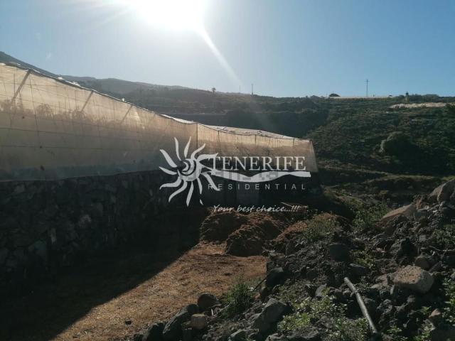 Terreno en venta en Guía de Isora, Canarias