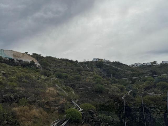 Terreno en venta en Guía de Isora, Canarias