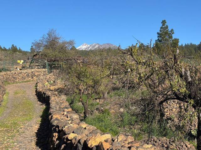 Terreno en venta en Guía de Isora, Canarias