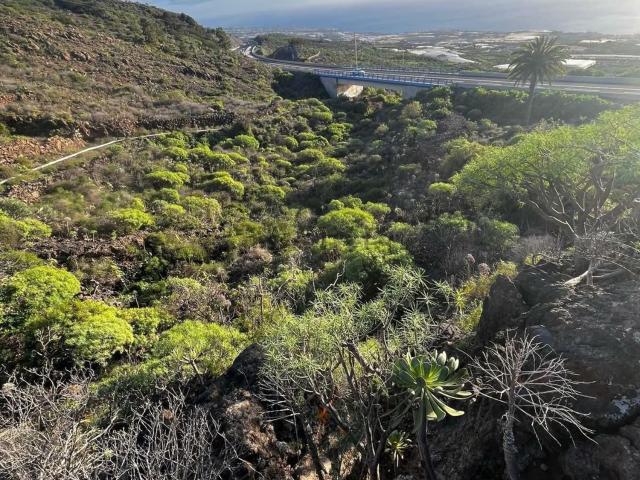 Terreno en venta en Guía de Isora, Canarias
