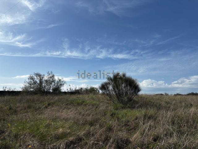Terreno en venta en Guijo De Coria, Extremadura