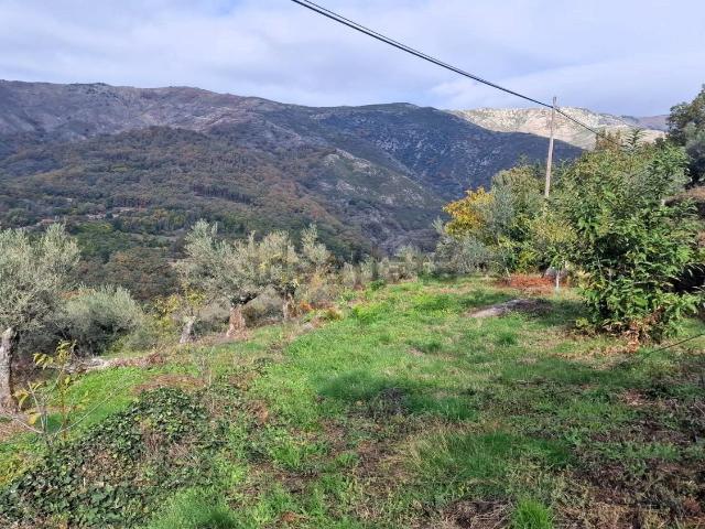 Terreno en venta en Guijo De Santa Bárbara, Extremadura
