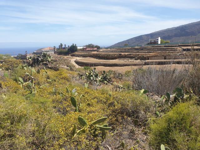Terreno en venta en Guaza, Güímar