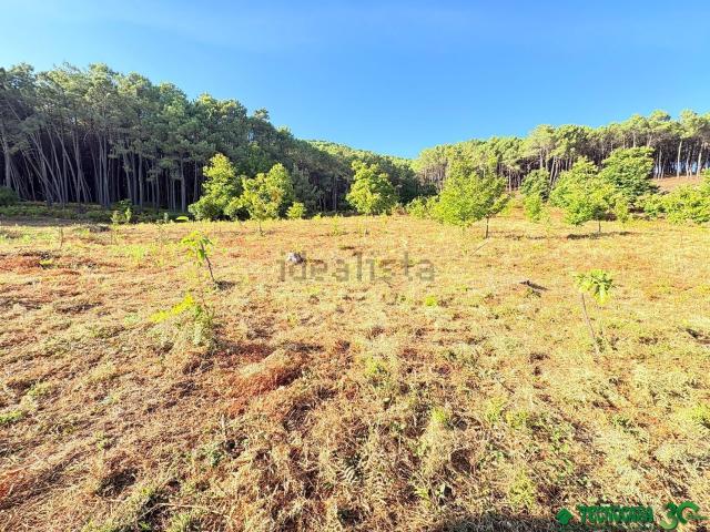 Terreno en venta en Guisando, Ávila