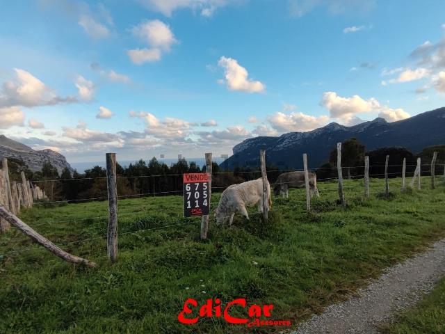 Terreno en venta en Torquiendo, Guriezo