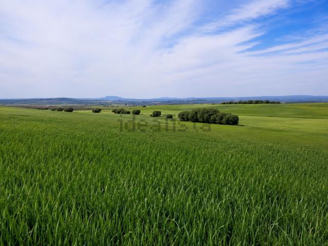 Terreno en venta en Hoya de Huesca / Plana de Uesca, Aragón