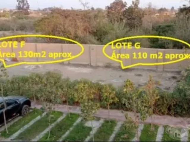 Terreno venta en Zuniga, Ica