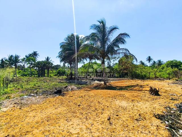 Terreno en venta en Centla, Tabasco