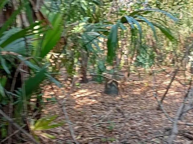 Terreno en venta en Carmen, Campeche