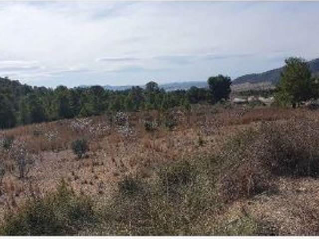 Terreno en venta en Hellín, Castilla-La Mancha
