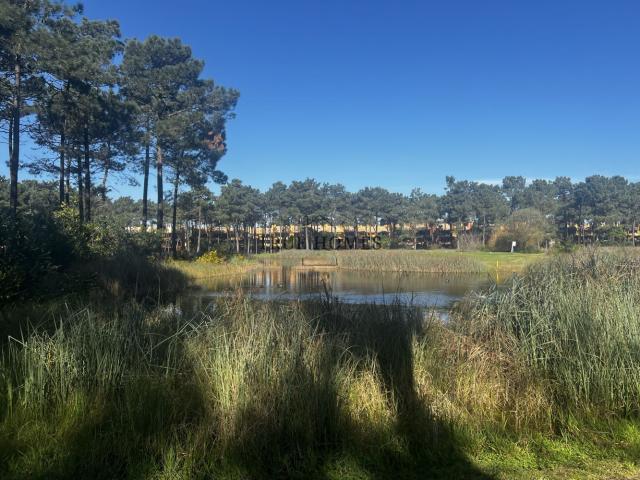 Terreno venda em Herdade da Aroeira, Almada
