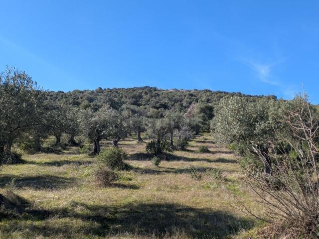 Terreno en venta en Herguijuela, Extremadura