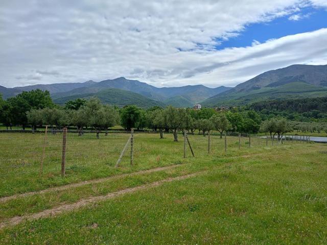 Terreno en venta en Hervás, Extremadura