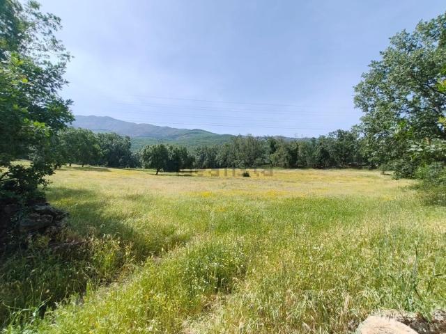 Terreno en venta en Hervás, Extremadura