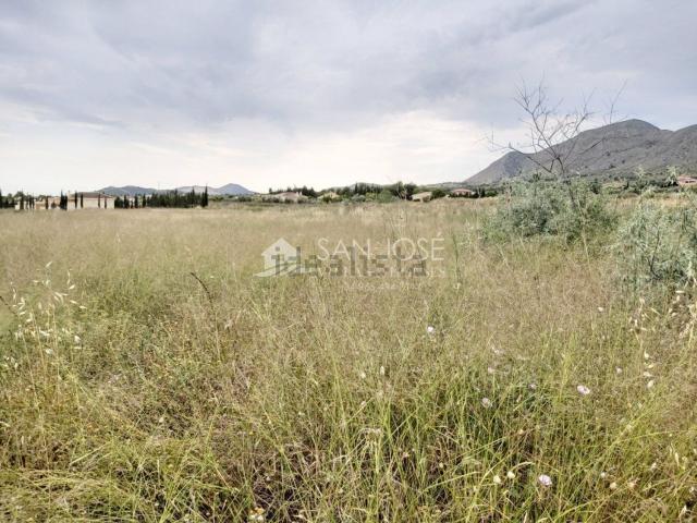 Terreno en venta en el Fondó de les Neus / Hondón de las Nieves, Alacant / Alicante