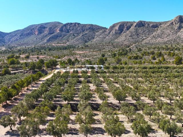Terreno en venta en el Vinalopó Mitjà / El Vinalopó Medio, Valencia