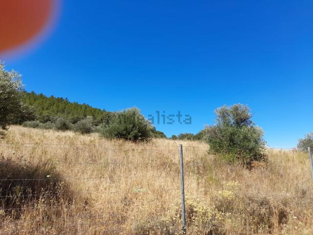 Terreno en venta en Horcajo De Los Montes, Castilla-La Mancha