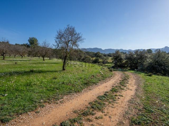 Terreno en venta en Terra Alta, Catalunya