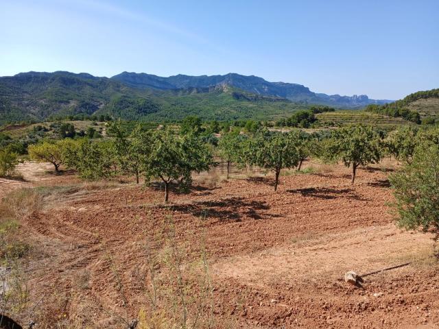 Terreno en venta en Terra Alta, Catalunya