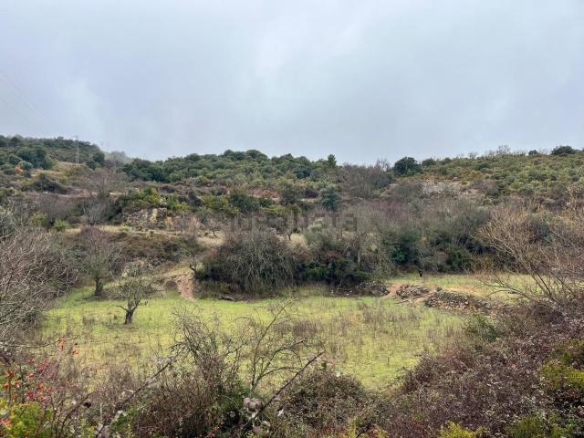 Terreno en venta en Somontano de Barbastro, Aragón