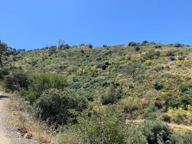 Terreno en venta en Ciudad Jardín, Málaga-Costa del Sol