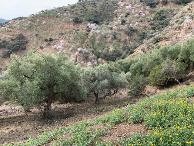 Terreno en venta en Ciudad Jardín, Málaga-Costa del Sol