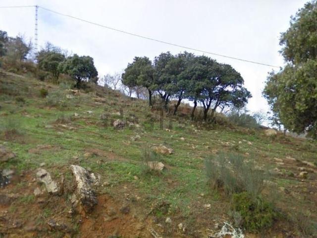 Terreno en venta en Ciudad Jardín, Málaga-Costa del Sol