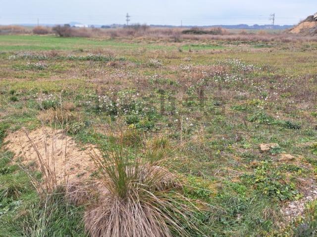 Terreno en venta en Huesca/Uesca, Hoya de Huesca / Plana de Uesca