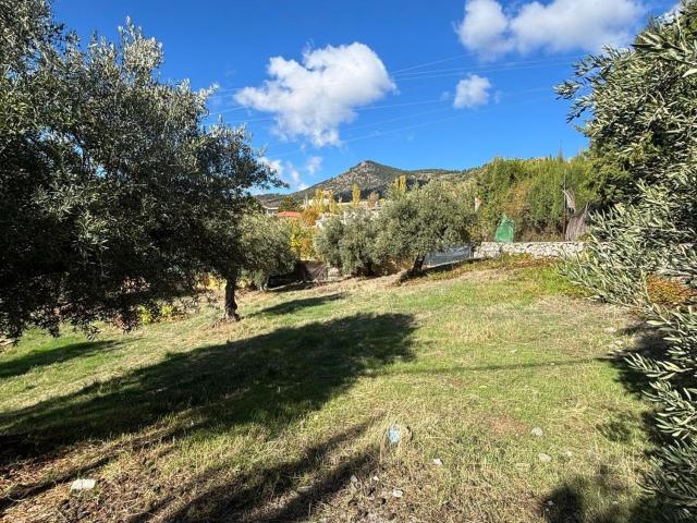 Terreno en venta en Comarca de la Vega de Granada, Andalucía