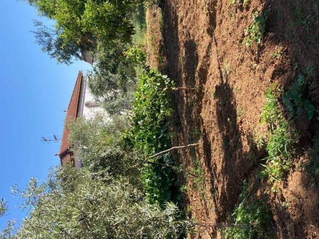 Terreno en venta en Comarca de la Vega de Granada, Andalucía